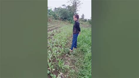 katutan sa bukid|@kantutan19 .